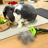 brosse lapin efficace