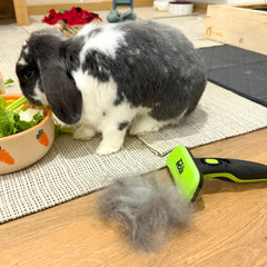 brosse lapin efficace