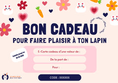 carte cadeau pour fan de lapin