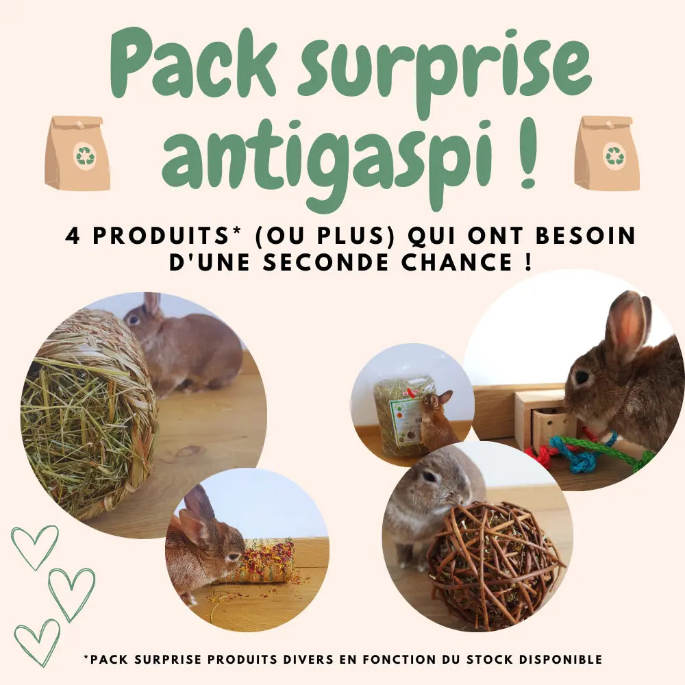 pack antigaspillage lapin économique