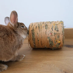 buche géante foin lapin