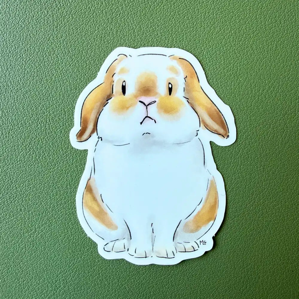 lapin bélier marron et blanc