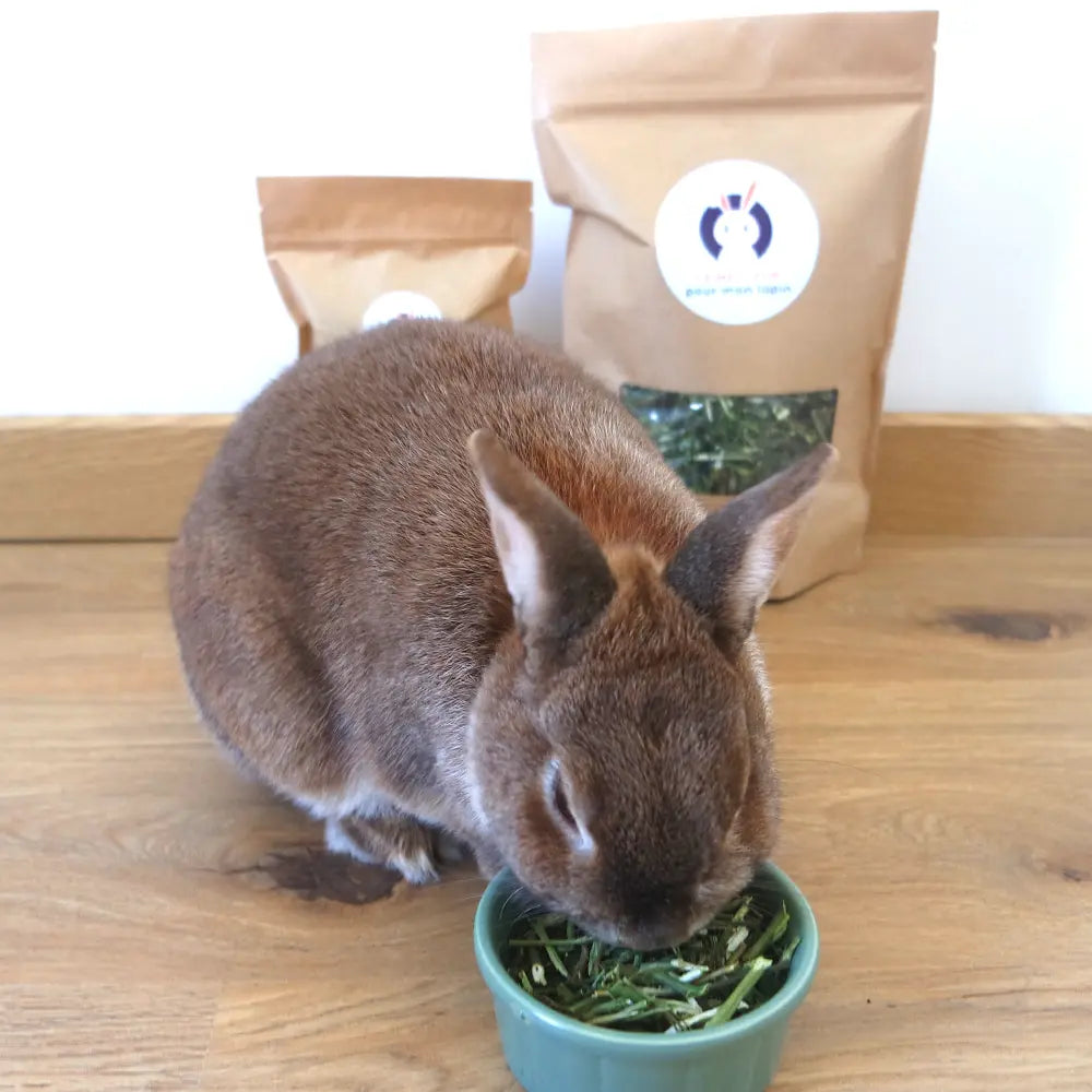 friandise pour lapin à l'aneth