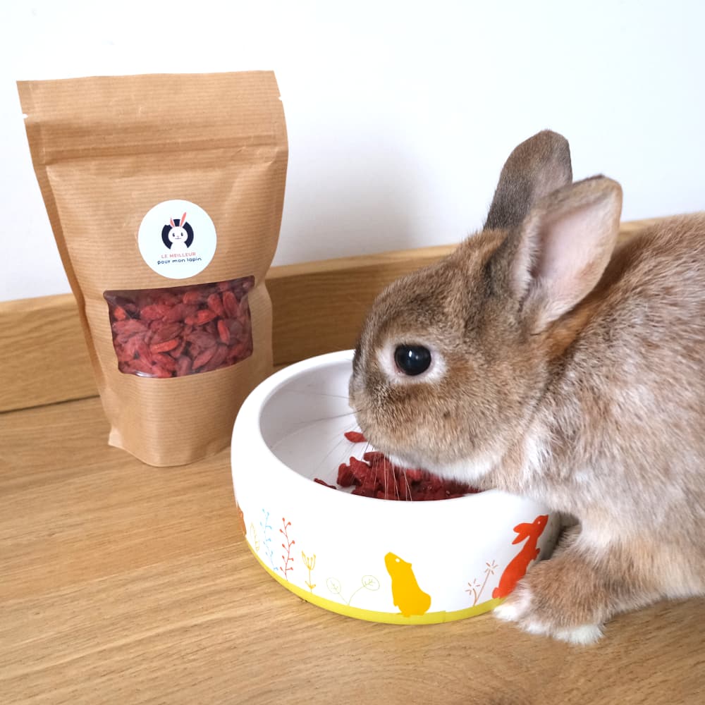 baie de goji pour lapin