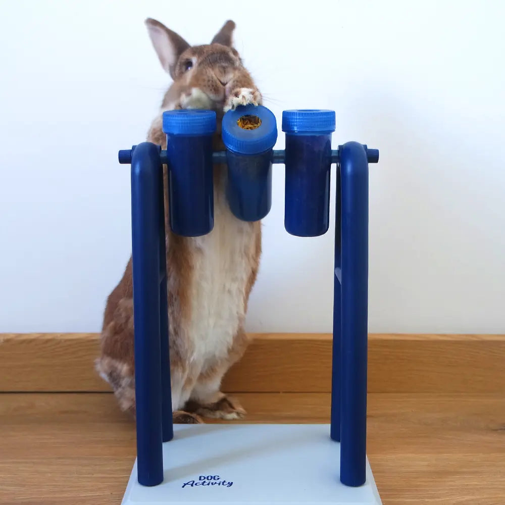 balançoire friandise lapin nain