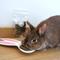 biscuit coeur lapin fleur
