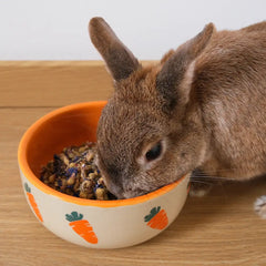 Fleur de bleuet pour lapin