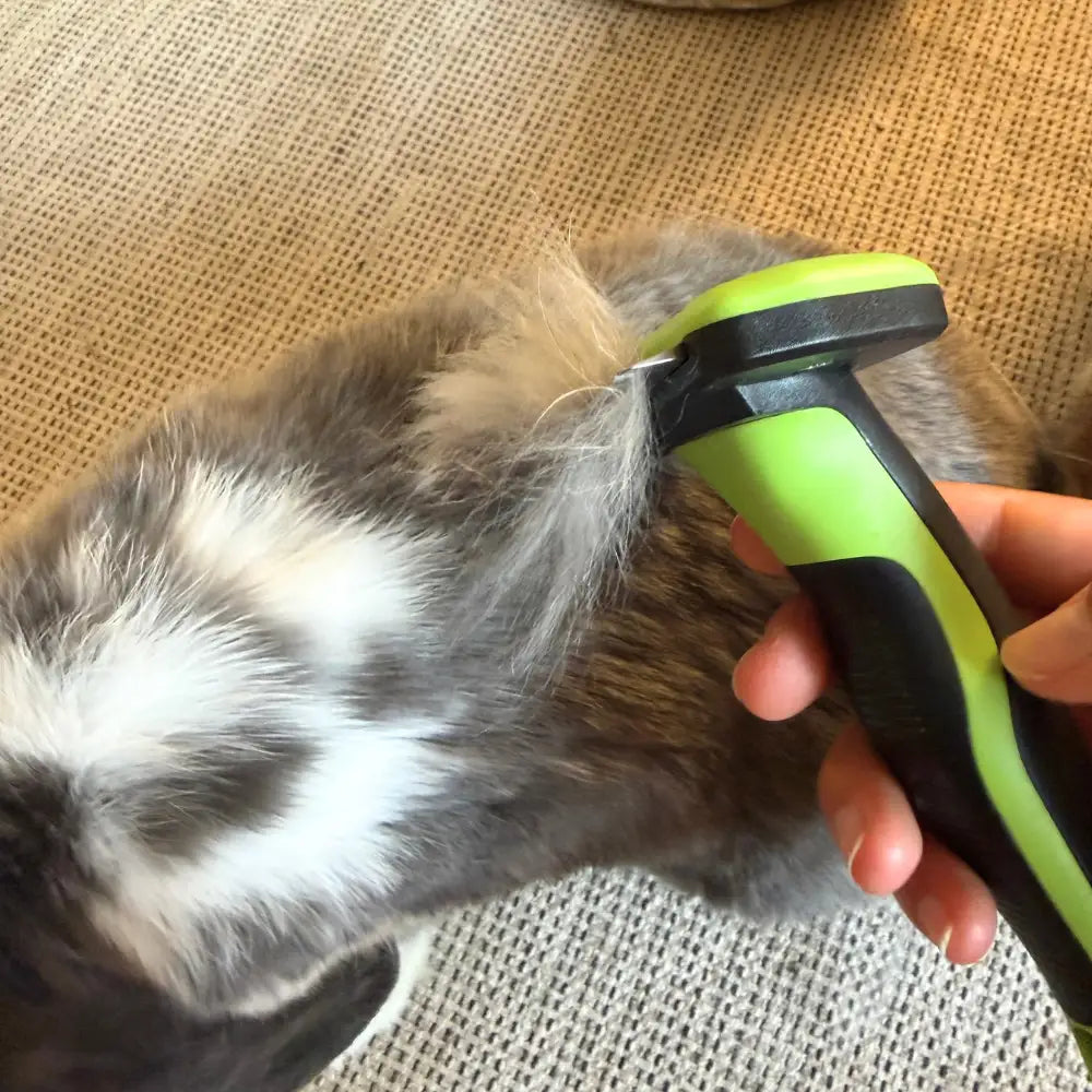 brosse pour lapin mue