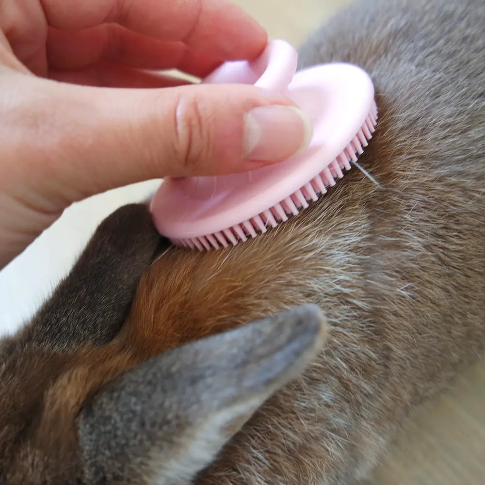 brosse lapin