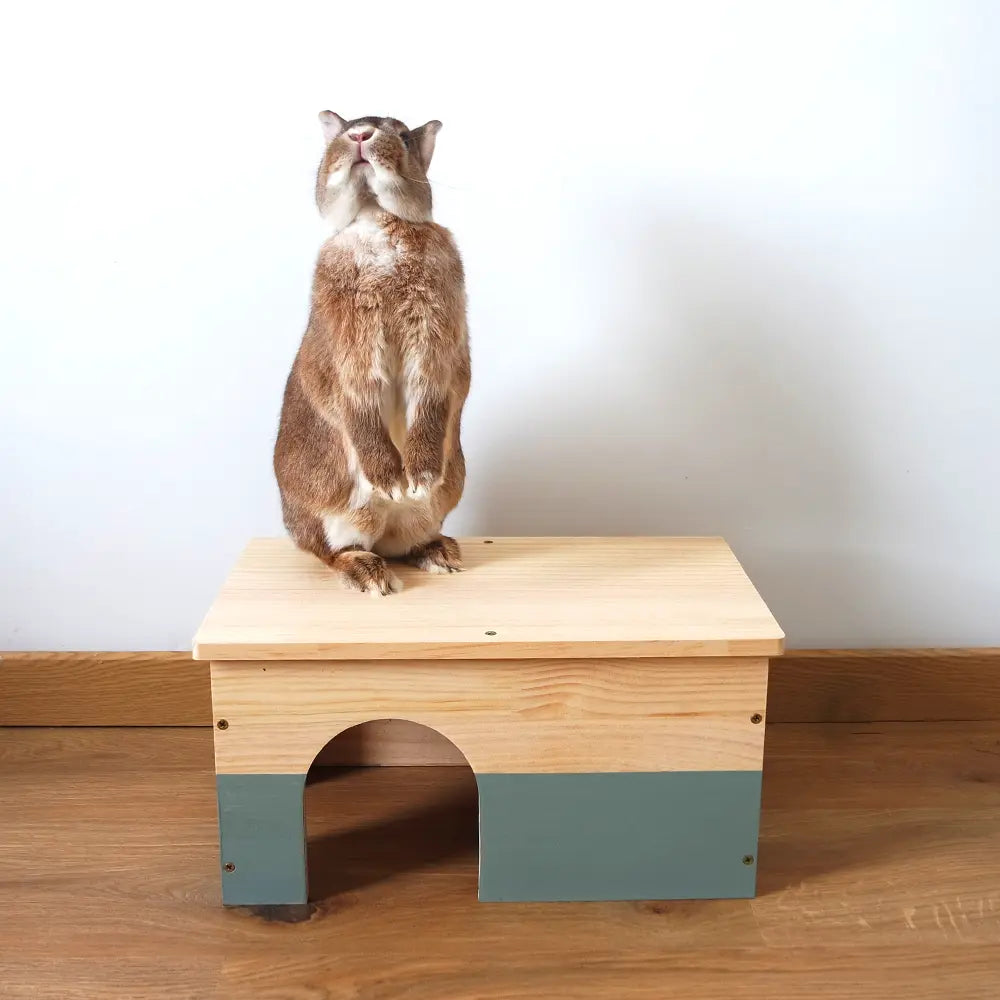 maison en bois pour lapin nain