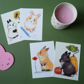 carte fan de lapin