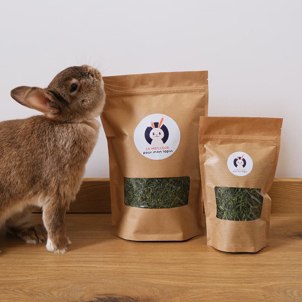 Friandise à base de céleri branche pour lapin