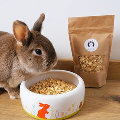Friandise saine lapin