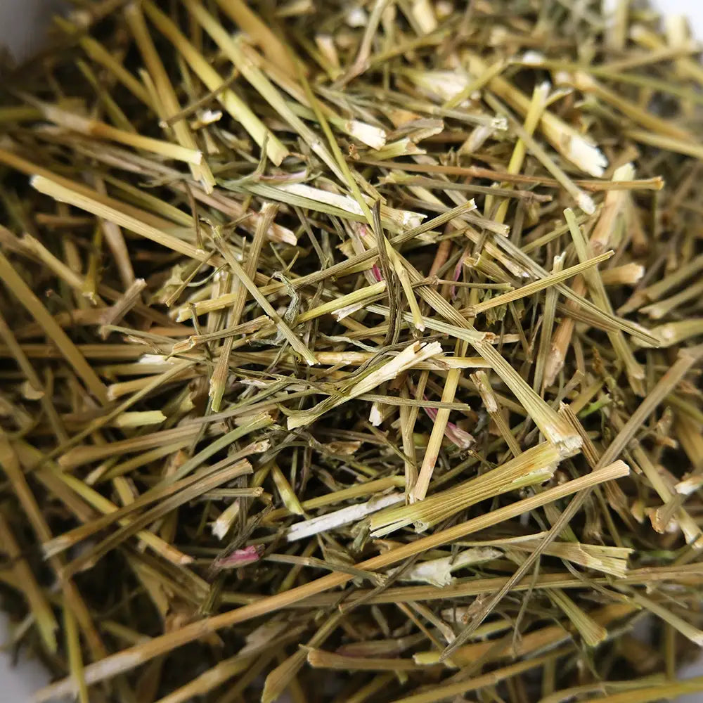 tige de coriandre pour lapin