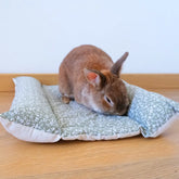 Coussin pour lapin Snugabun