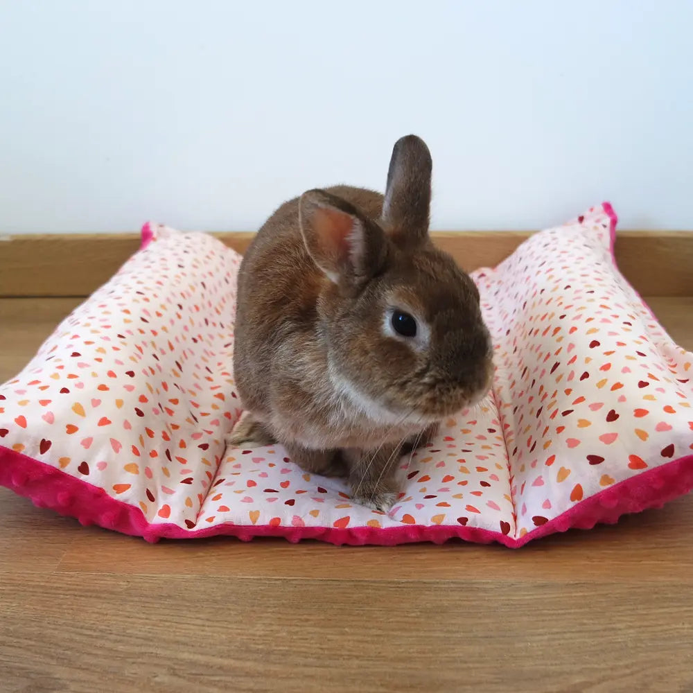 coussin fraicheur lapin