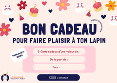 carte cadeau lapin