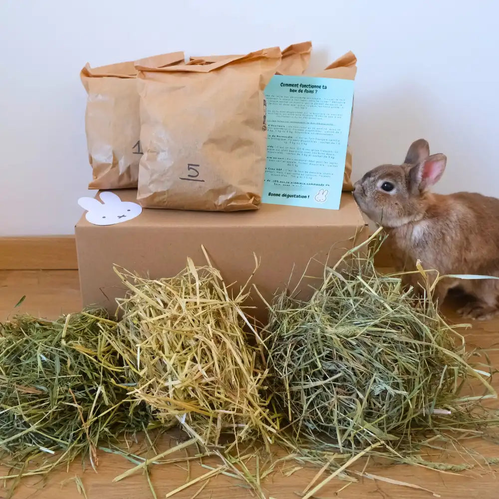 box de foin pour lapin découverte