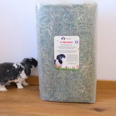 Foin Goldy - foin ray-grass