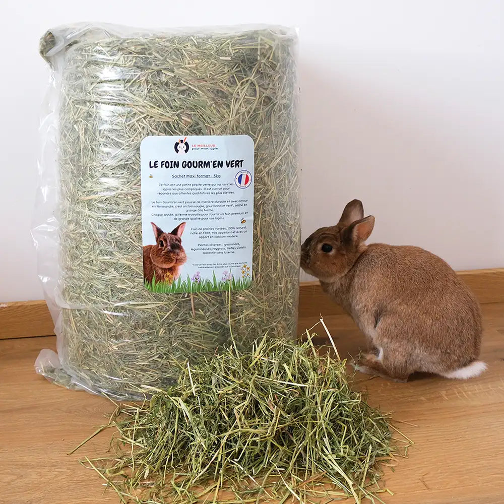 foin de qualité pour lapin compliqué en foin