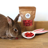 fraise pour lapin friandise