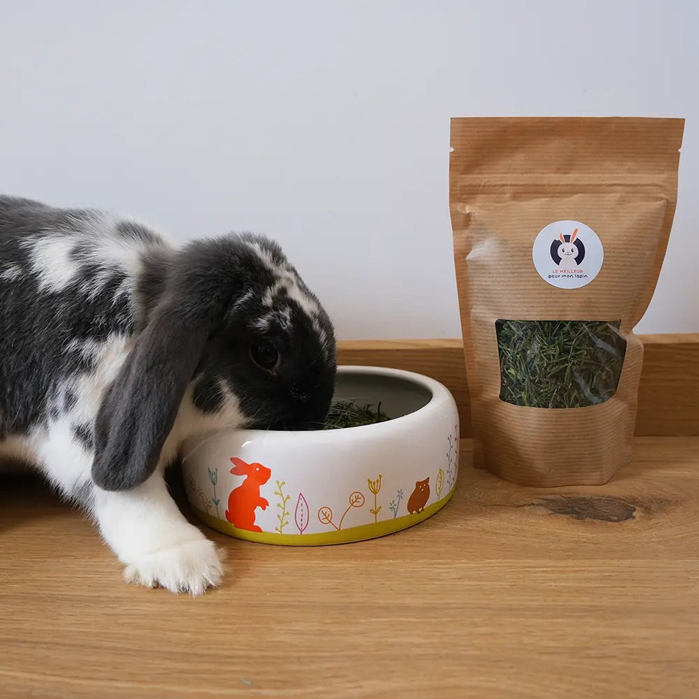 friandise saine lapin