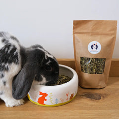 friandise-lapin-saine-coriandre