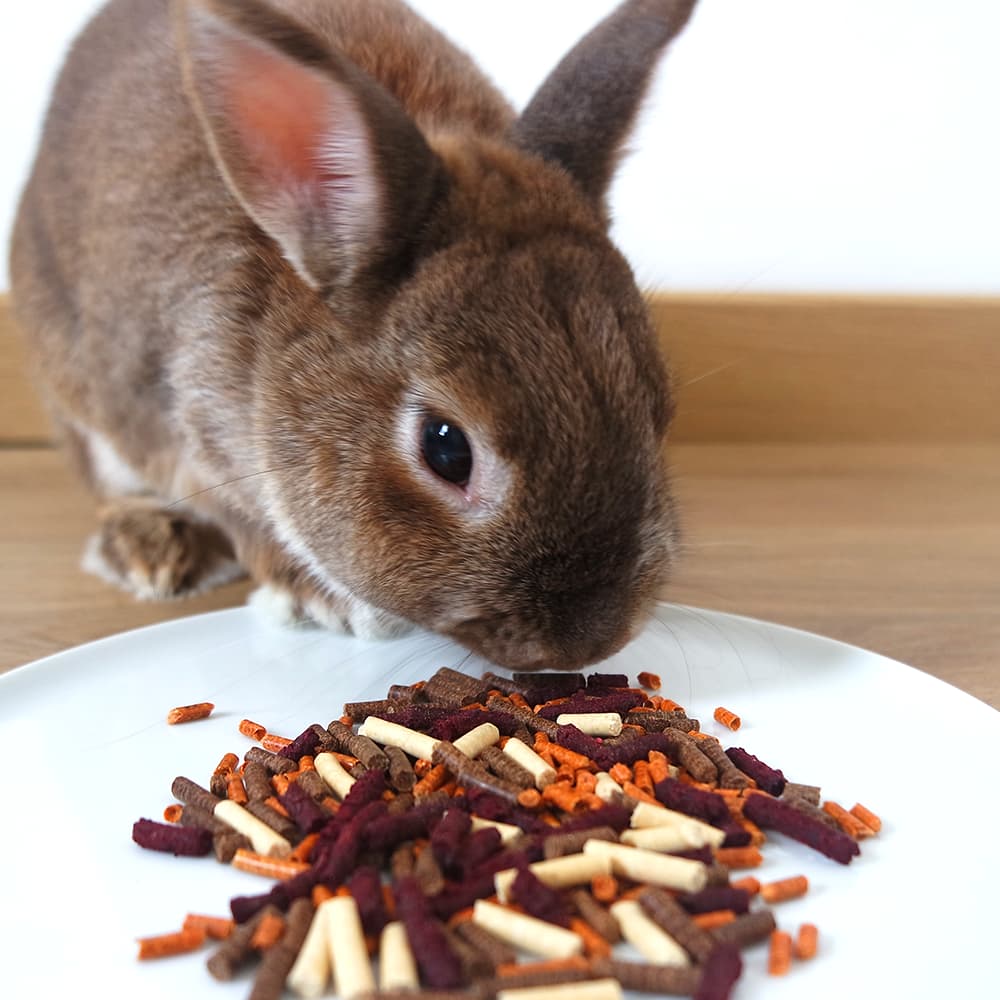 friandise de légumes lapin