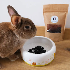 myrtille lapin