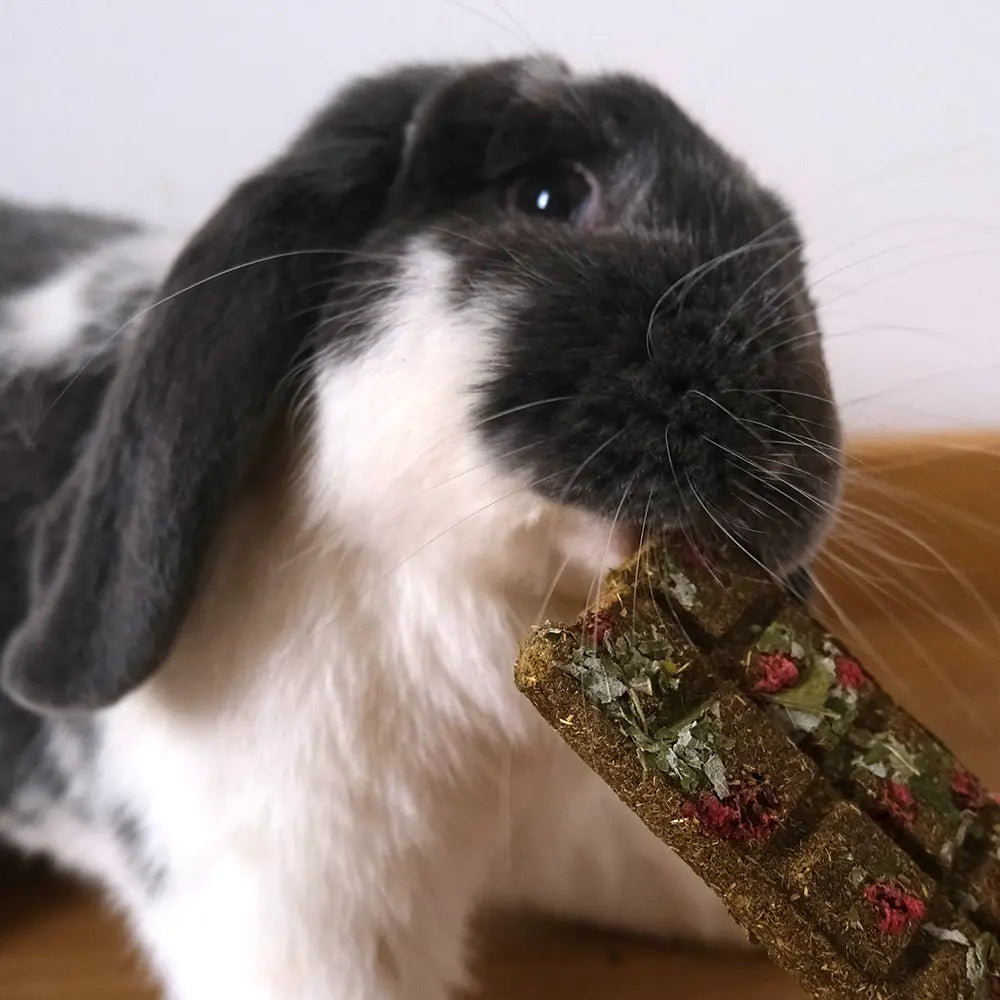tablette friandise pour lapin