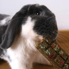 tablette friandise pour lapin
