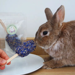 Glace pour lapin
