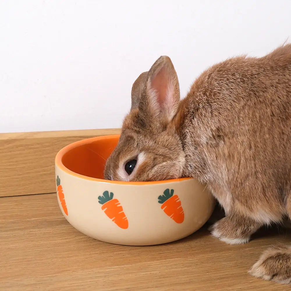 Grande gamelle pour lapin