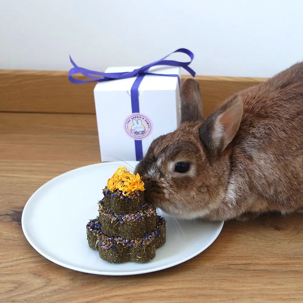 gateau anniversaire lapin fleurs diverses