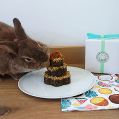 Gâteau pour lapin
