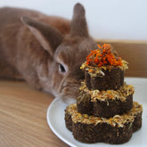 Gâteau pour lapin