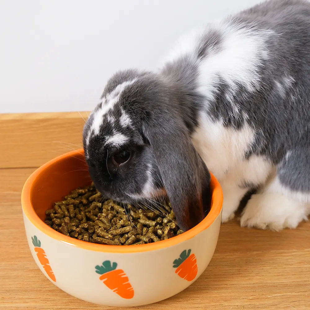 granulé de foin et banane pour lapin