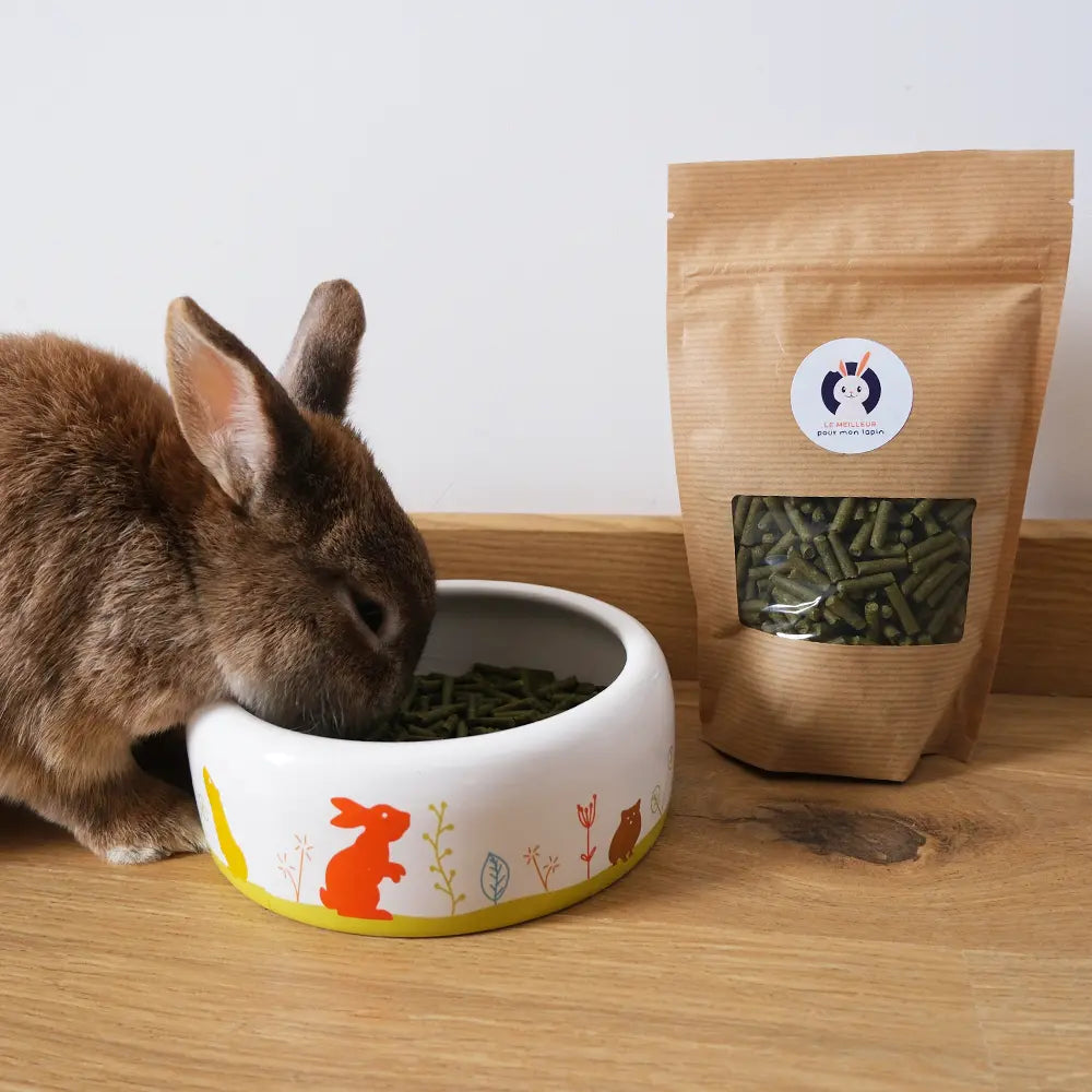 friandise à base de persil pour lapin nain
