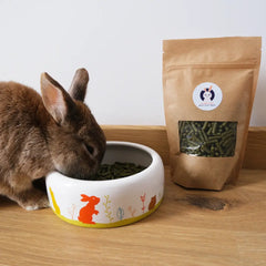 friandise à base de persil pour lapin nain