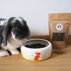 granulé de pissenlit pour lapin