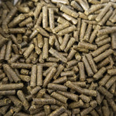 Friandise à base de pissenlit pour lapin