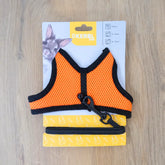 harnais pour lapin nain