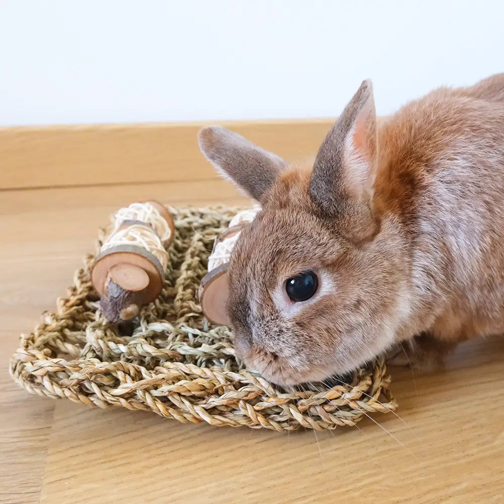 jeu à ronger multi matière lapin
