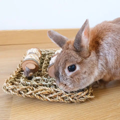 jeu à ronger multi matière lapin