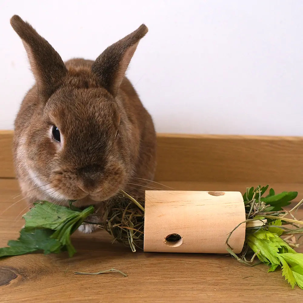 jeu intelligence en bois pour lapin