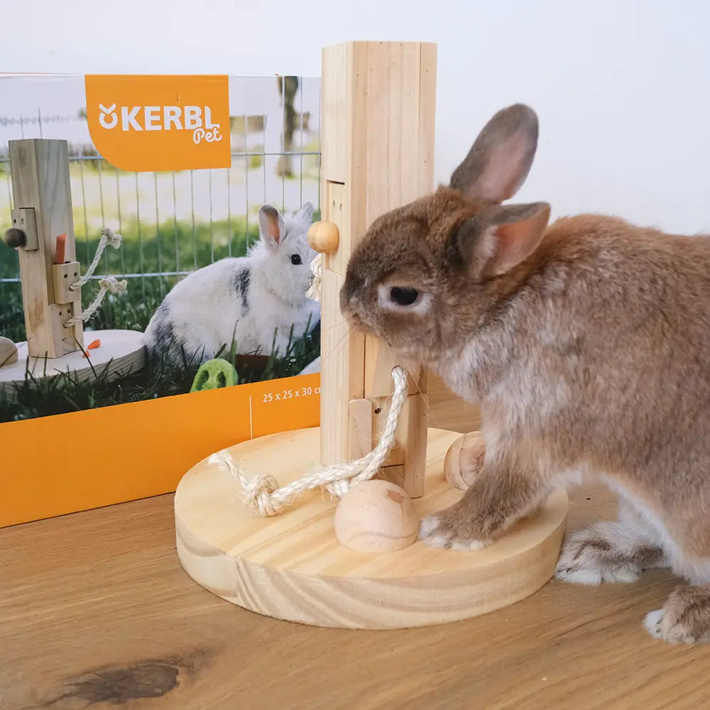 jeu d'intelligence en bois feedtree lapin