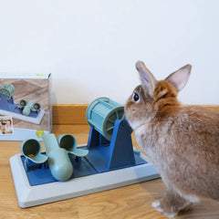 jeux d'intelligence pur lapin