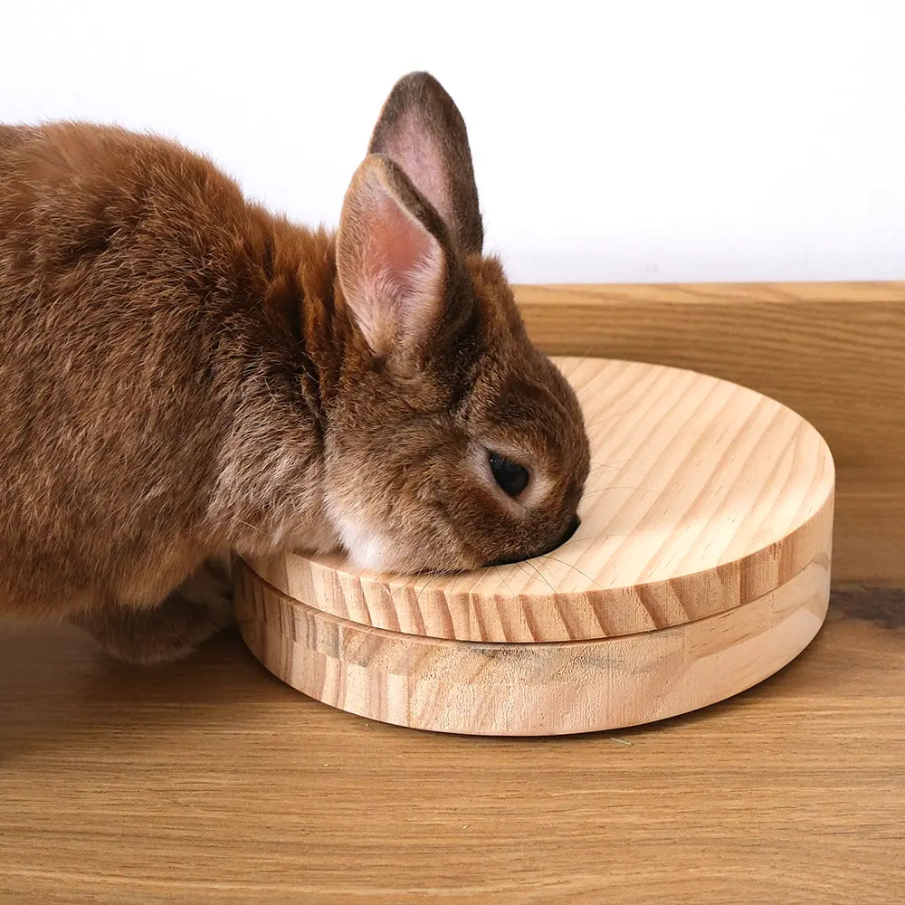 jeu rotatif pour lapin en bois Roundgame