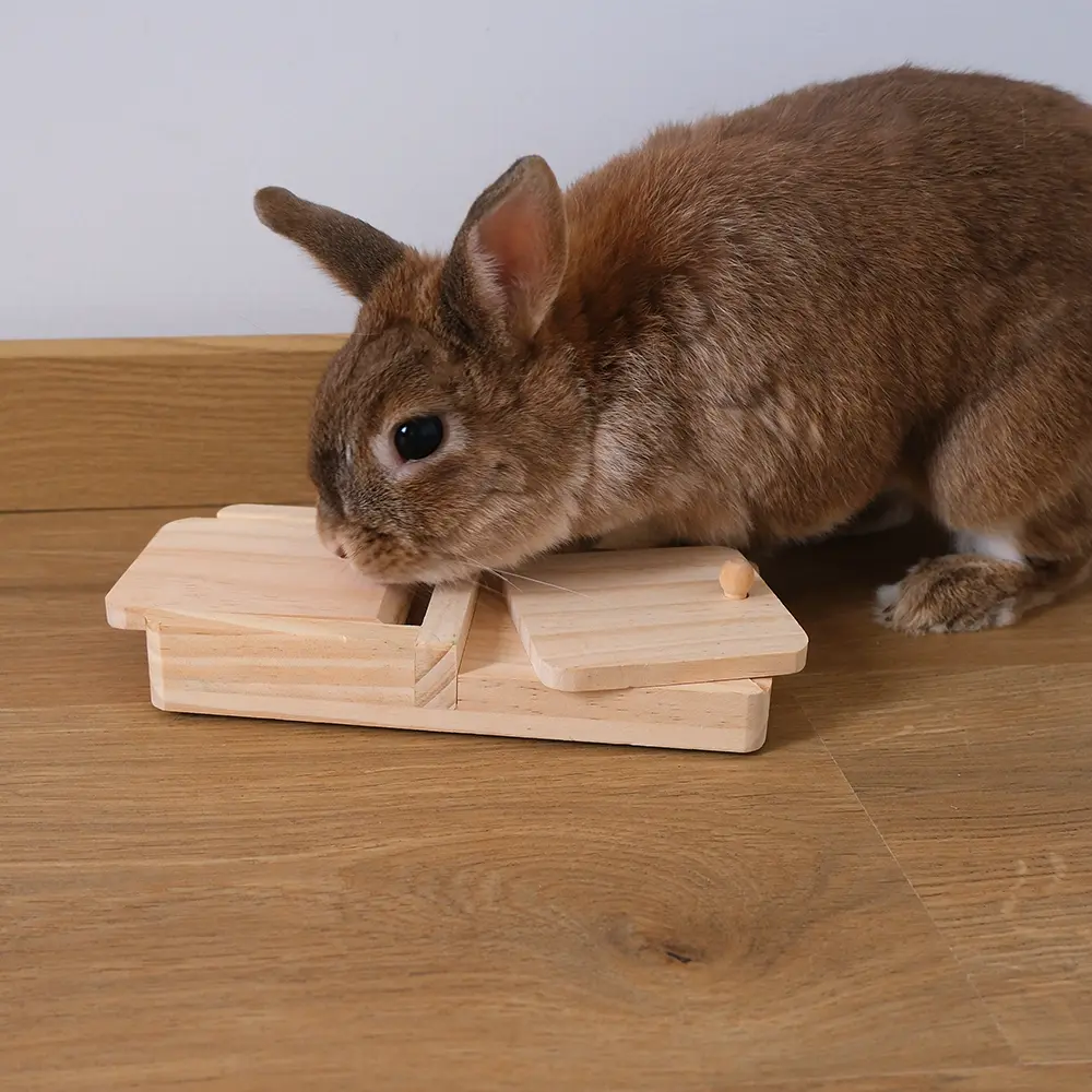 jeu d'intelligence pour lapin en bois