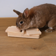 jeu d'intelligence pour lapin en bois